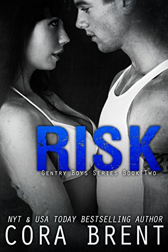Risk book cover