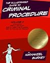 The Illustrated Guide to Criminal Procedure, Vol I: Parts 1-3, Including the Fourth Amendment Flowchart