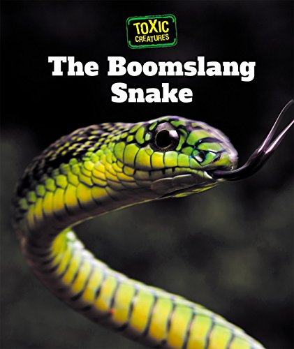 Cover of Boomslang Snake
