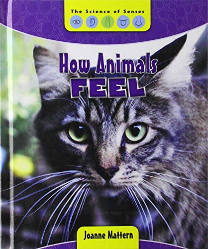 Cover of How Animals Feel