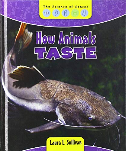 Cover of How Animals Taste