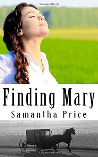 Finding Mary book cover