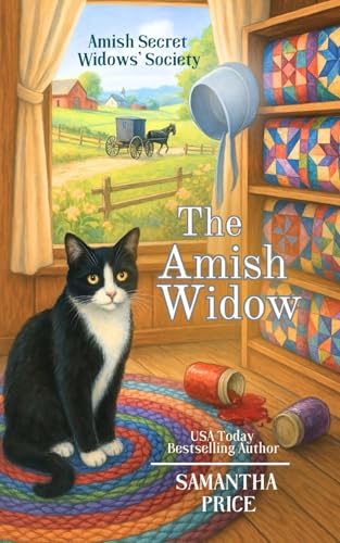The Amish Widow book cover