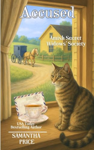 Accused book cover