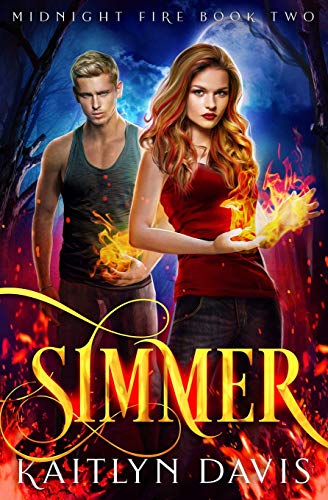Simmer book cover