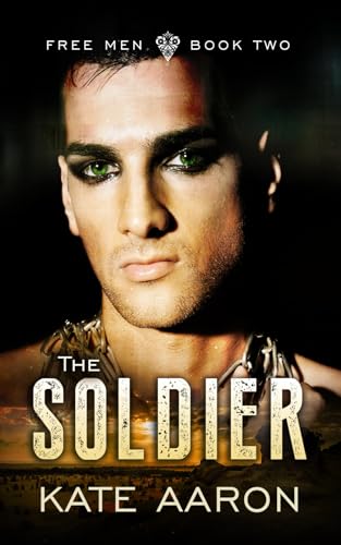 The Soldier book cover