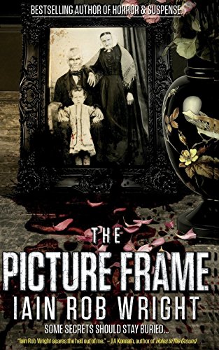 The Picture Frame book cover