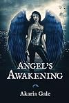 Angel's Awakening (Volume 1)