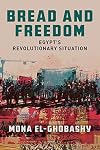 Bread and Freedom: Egypt's Revolutionary Situation
