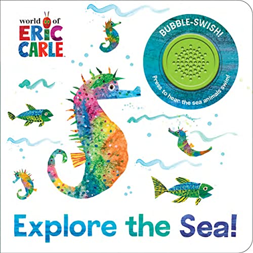 Explore the Sea! book cover
