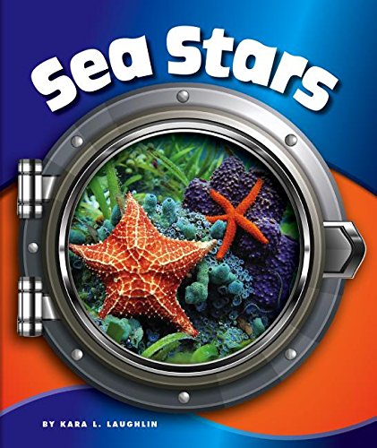 Cover of Sea Stars