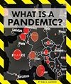 What Is a Pandemic? (Pandemics and Covid-19)