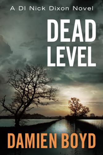 Dead Level book cover