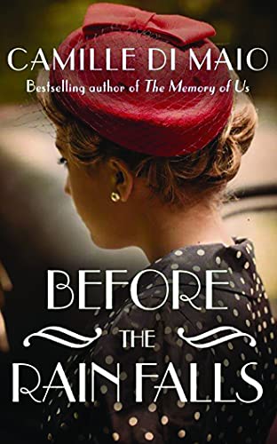 Before the Rain Falls book cover