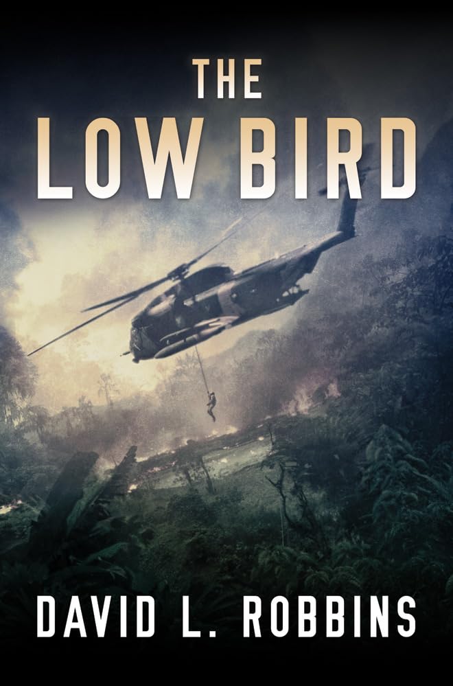 The Low Bird book cover