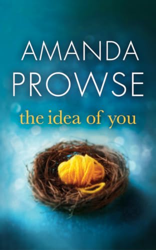 The Idea of You book cover