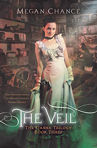 The Veil book cover