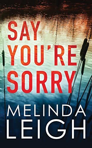 Say You're Sorry book cover