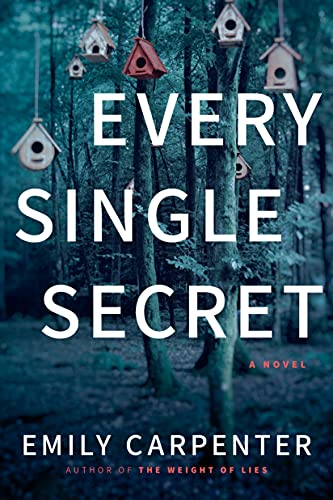 Every Single Secret book cover