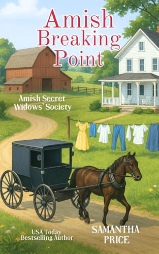 Amish Breaking Point book cover
