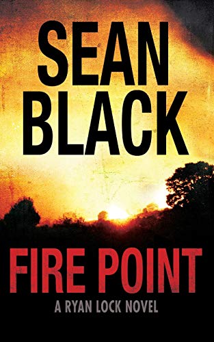 Fire Point book cover
