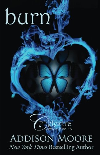 Burn book cover