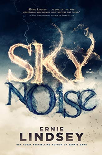 Skynoise book cover