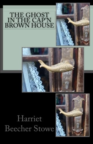 The Ghost in the Cap'n Brown House book cover