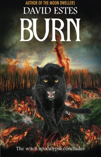 Burn book cover