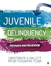 Juvenile Delinquency: Pathways and Prevention