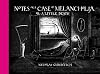 Notes on a Case of Melancholia, or: A Little Death