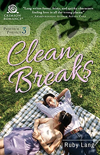 Clean Breaks book cover