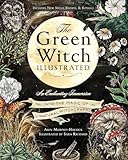 The Green Witch illustrated