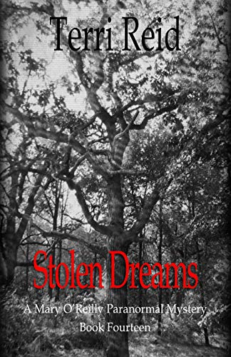 Stolen Dreams book cover