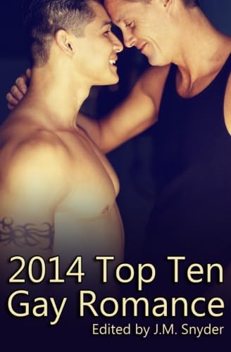 2014 Top Ten Gay Romance book cover