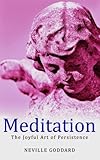 Meditation The Joyful Art Of Persistence