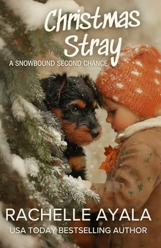 Christmas Stray book cover