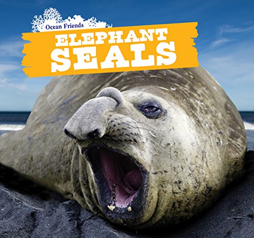 Cover of Elephant seals