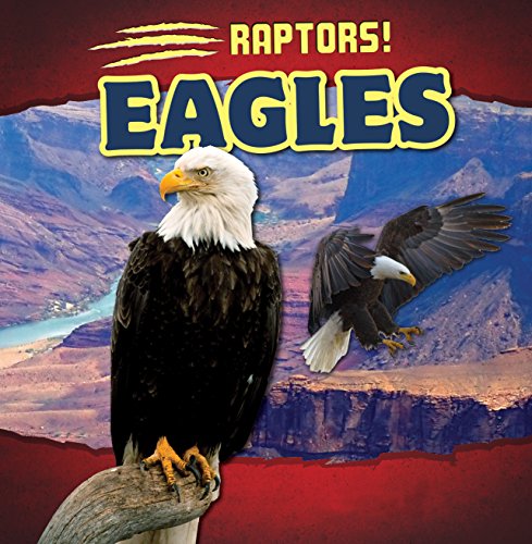 Cover of Eagles