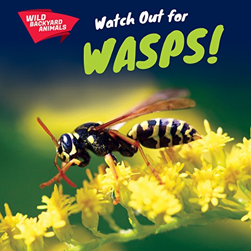 Cover of Watch out for wasps!