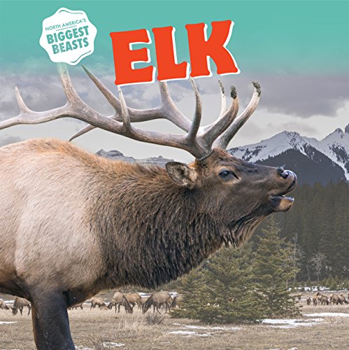 Cover of Elk