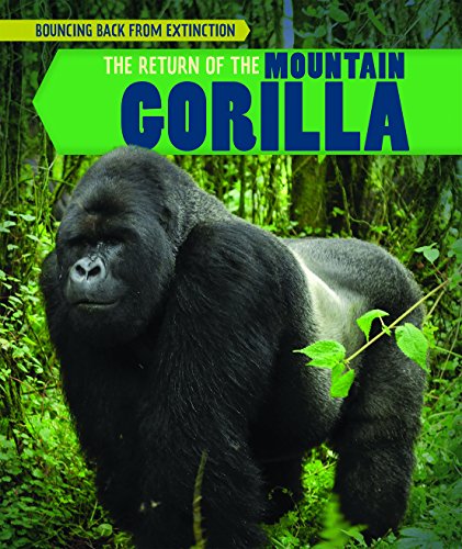 Cover of Return of the Mountain Gorilla