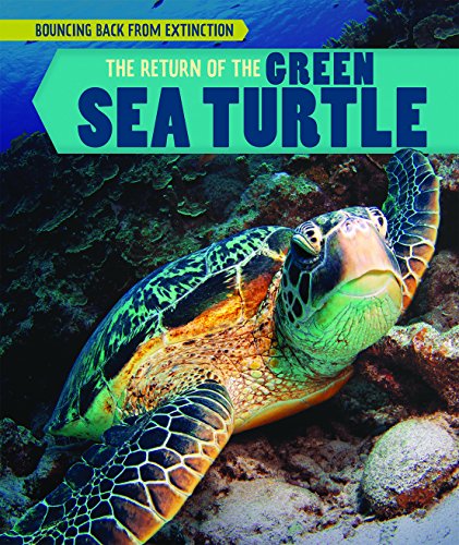 Cover of Return of the Green Sea Turtle