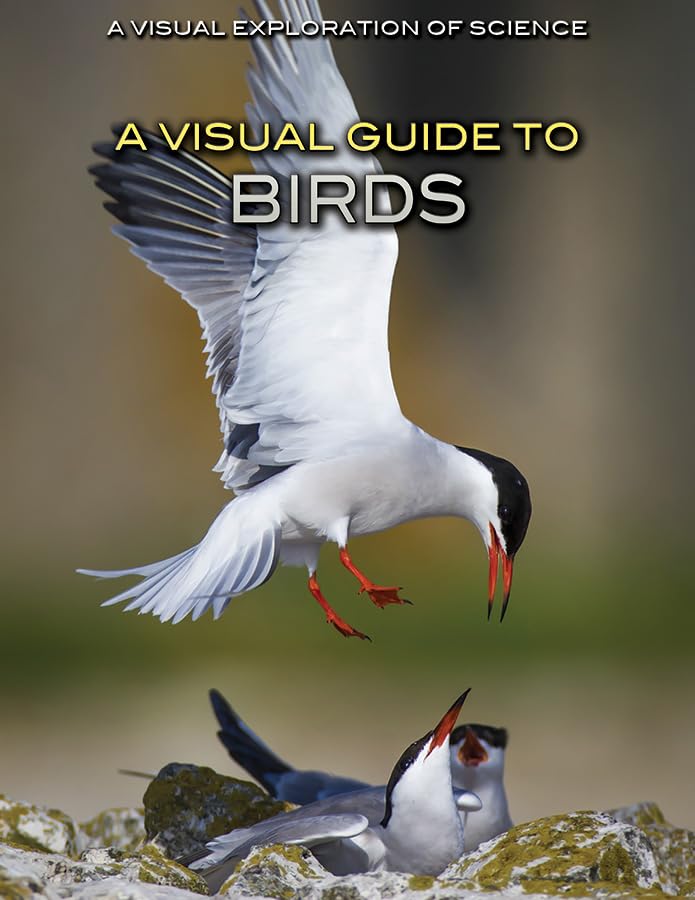 Cover of Visual Guide to Birds