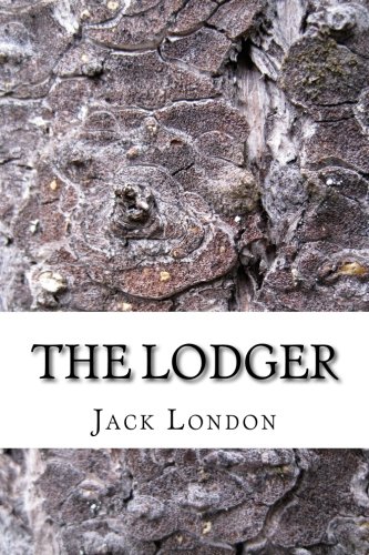 The Lodger book cover