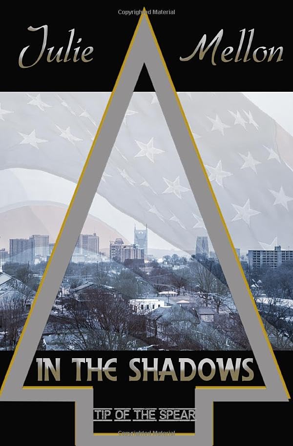 In the Shadows book cover