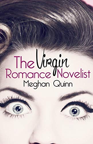 The Virgin Romance Novelist book cover