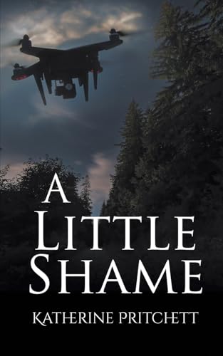 A Little Shame / by Pritchett, Katherine