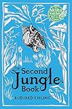 Amazon cover image