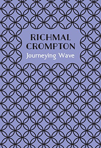 Journeying Wave book cover